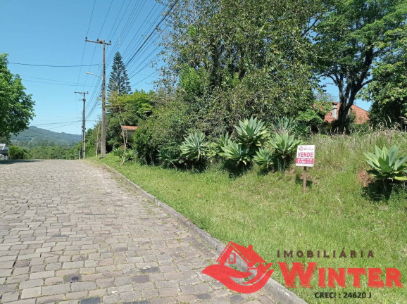 Imagem Terreno à Venda, 9.729 m² em Vila Rica - Feliz Imagem Terreno à Venda, 9.729 m² em Vila Rica - Feliz