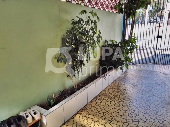 Imagem Casa com 2 Quartos à Venda, 122 m² em Casa Verde - São Paulo Imagem Casa com 2 Quartos à Venda, 122 m² em Casa Verde - São Paulo