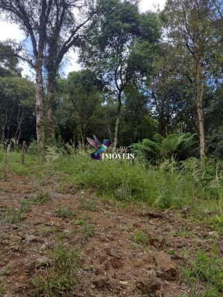 Imagem Terreno à Venda, 611 m² em Vila Do Cedro - Canela Imagem Terreno à Venda, 611 m² em Vila Do Cedro - Canela