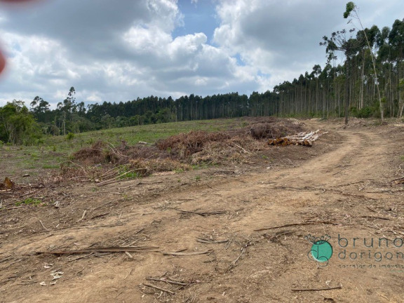 Imagem Imóvel à Venda, 1.600.000 m² em Zona Rural - Vidal Ramos Imagem Imóvel à Venda, 1.600.000 m² em Zona Rural - Vidal Ramos