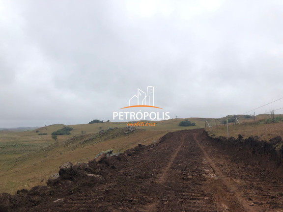 Imagem Terreno à Venda, 20.000 m² em área Rural De Caxias Do Sul - Caxias Do Sul