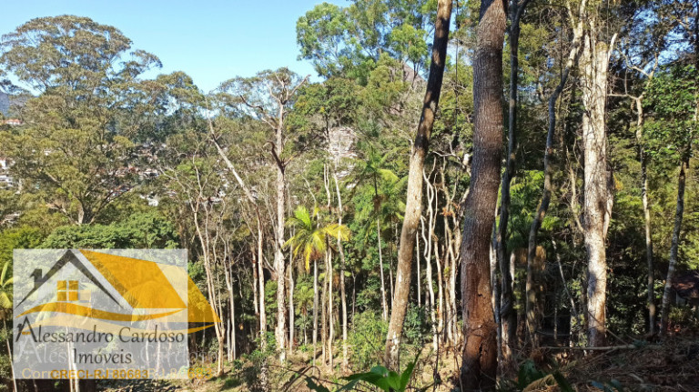 Imagem Terreno à Venda, 2.200 m² em Centro - Nova Friburgo Imagem Terreno à Venda, 2.200 m² em Centro - Nova Friburgo