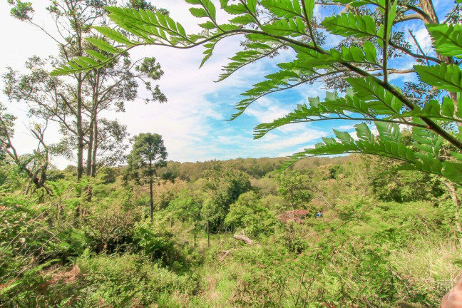 Imagem Chácara com 3 Quartos à Venda, 18.000 m² em Itapuã - Viamão