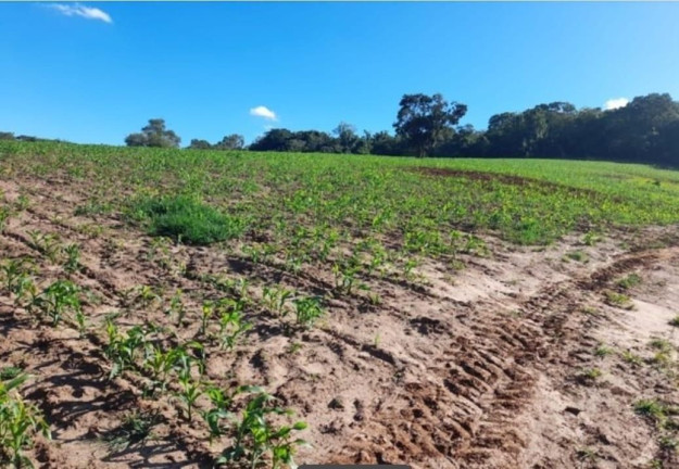 Imagem Fazenda à Venda, 30 m² em Portal Novo Horizonte - Angatuba Imagem Fazenda à Venda, 30 m² em Portal Novo Horizonte - Angatuba