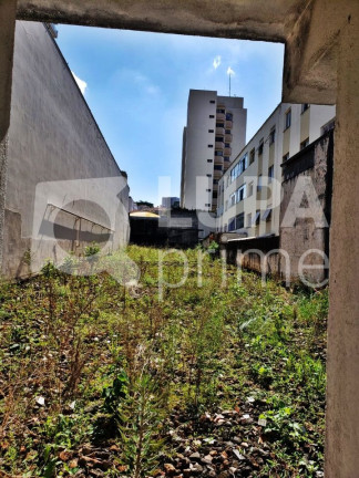 Imagem Terreno para Alugar, 450 m² em Santana - São Paulo Imagem Terreno para Alugar, 450 m² em Santana - São Paulo