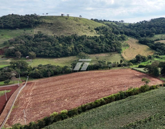 Imagem Fazenda à Venda,  em Cancelli - Cascavel