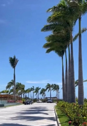 Imagem Terreno à Venda, 830 m² em Praia Do Forte - Mata De São João Imagem Terreno à Venda, 830 m² em Praia Do Forte - Mata De São João