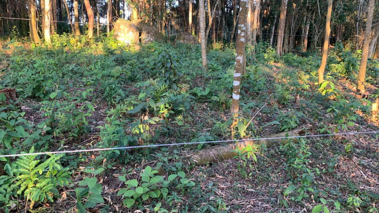 Imagem Terreno à Venda, 1.645 m² em Centro - Santana De Parnaíba Imagem Terreno à Venda, 1.645 m² em Centro - Santana De Parnaíba