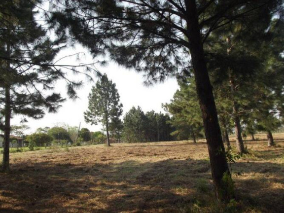 Imagem Terreno à Venda, 80.000 m² em águas Claras - Viamão