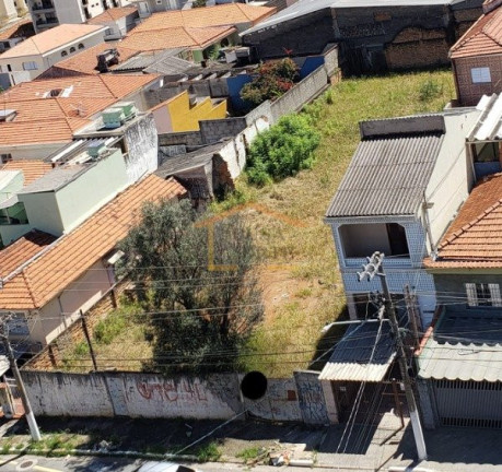 Terreno à Venda, 800 m² em Vila Guilherme - São Paulo