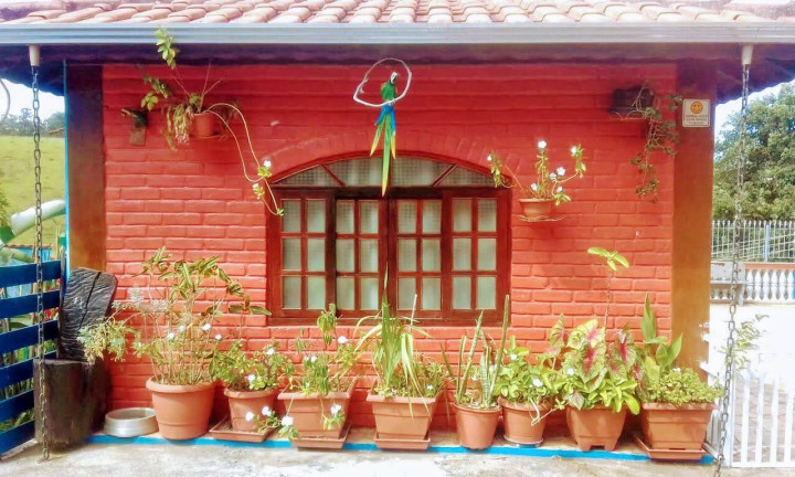 Imagem Chácara com 6 Quartos à Venda, 53 m² em Zona Rural - Cambuí