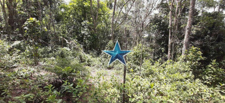 Imagem Imóvel à Venda, 74.000 m² em Fazenda Vitoria - São Lourenço Da Serra