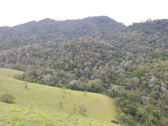 Imagem Fazenda à Venda, 9.790.000 m² em Centro - Trajano De Morais