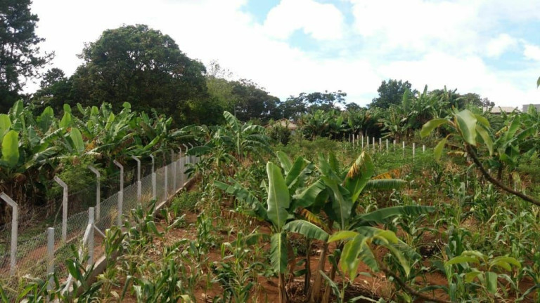Imagem Imóvel à Venda, 1.400 m² em Boa Vista Dos Silva - Bragança Paulista Imagem Imóvel à Venda, 1.400 m² em Boa Vista Dos Silva - Bragança Paulista