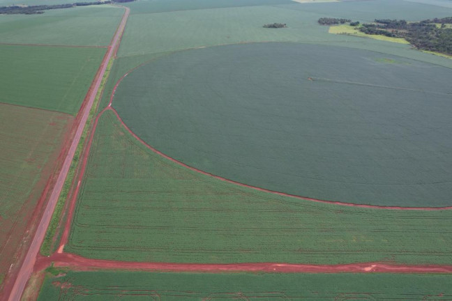 Imagem Fazenda à Venda, 17 m² em Zona Rural - Acreúna Imagem Fazenda à Venda, 17 m² em Zona Rural - Acreúna