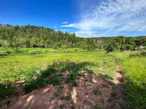 Imagem Chácara à Venda, 2 m² em Morungava - Gravataí Imagem Chácara à Venda, 2 m² em Morungava - Gravataí