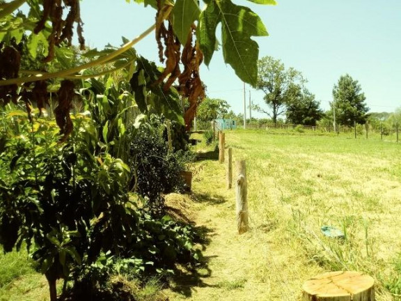 Imagem Imóvel com 2 Quartos à Venda, 99 m² em Fazenda Fialho - Taquara Imagem Imóvel com 2 Quartos à Venda, 99 m² em Fazenda Fialho - Taquara