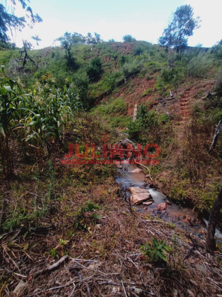 Imagem Chácara à Venda, 13.000 m² em Rio Natal - São Bento Do Sul Imagem Chácara à Venda, 13.000 m² em Rio Natal - São Bento Do Sul