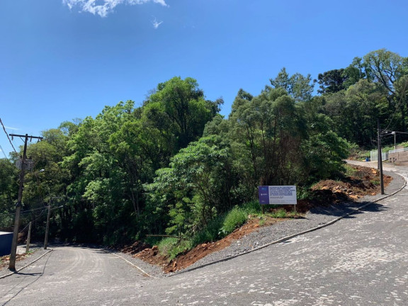 Imagem Terreno à Venda, 1 m² em Dois Pinheiros - Videira Imagem Terreno à Venda, 1 m² em Dois Pinheiros - Videira