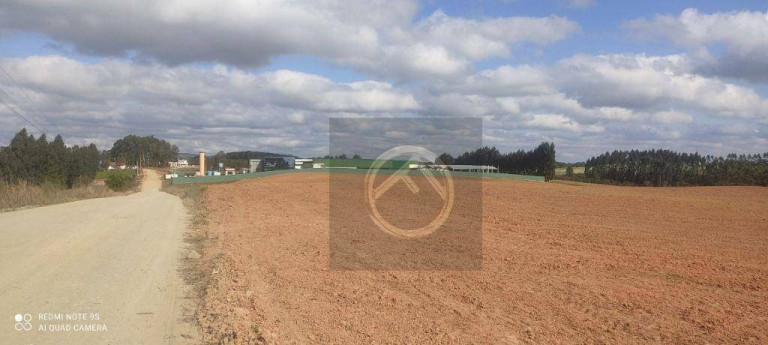Terreno à Venda, 154.200 m² em Eucaliptos - Fazenda Rio Grande