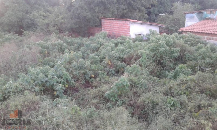 Imagem Imóvel à Venda, 1.215 m² em Pacajus - Pacajus