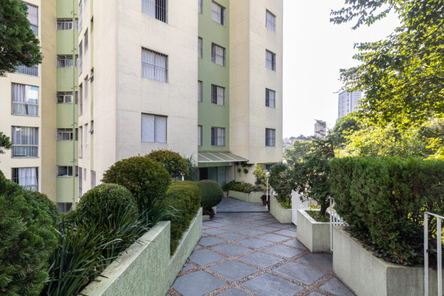 Imagem Apartamento com 3 Quartos à Venda, 63 m² em Vila Albertina - São Paulo Imagem Apartamento com 3 Quartos à Venda, 63 m² em Vila Albertina - São Paulo