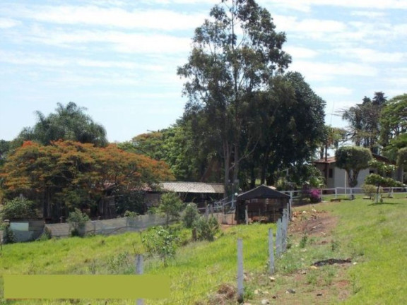 Imagem Imóvel com 2 Quartos à Venda, 42.350 m² em Sitio Novo - Artur Nogueira Imagem Imóvel com 2 Quartos à Venda, 42.350 m² em Sitio Novo - Artur Nogueira