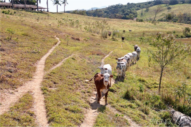 Imagem Fazenda à Venda, 3.650.000 m² em Zona Rual - Andradas