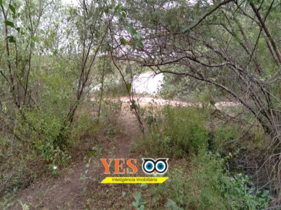 Imagem Imóvel com 2 Quartos à Venda, 100.000 m² em Centro - Cruz Das Almas
