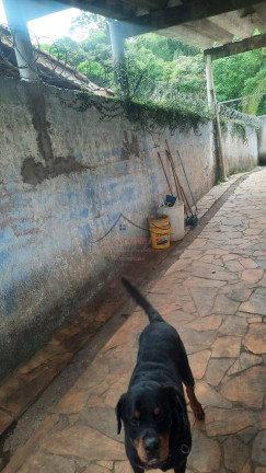Imagem Chácara com 3 Quartos à Venda, 1.800 m² em Atibaia