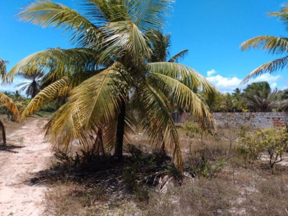 Imagem Terreno à Venda, 20.000 m² em Barra Do Jacuípe - Camaçari Imagem Terreno à Venda, 20.000 m² em Barra Do Jacuípe - Camaçari