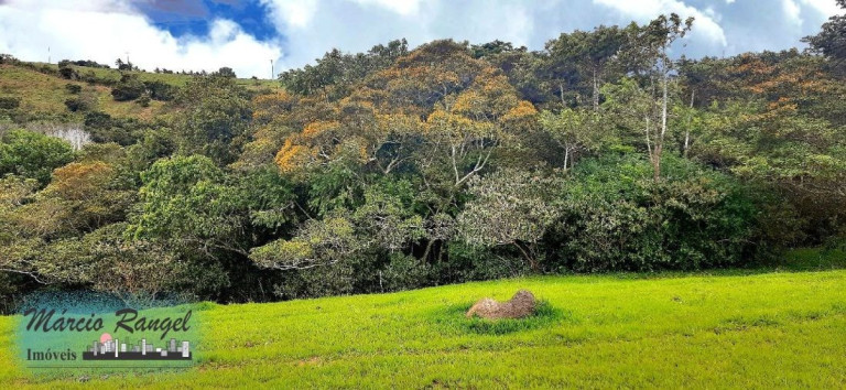 Imagem Imóvel à Venda, 31.000 m² em Caxeta - Campos Dos Goytacazes Imagem Imóvel à Venda, 31.000 m² em Caxeta - Campos Dos Goytacazes