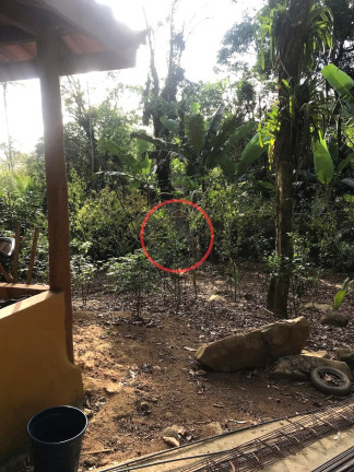 Imagem Casa com 1 Quarto à Venda, 60 m² em Boiçucanga - São Sebastião