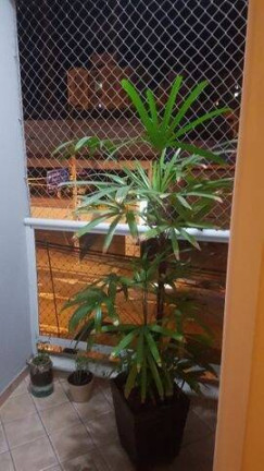 Imagem Apartamento com 3 Quartos à Venda, 85 m² em Parque Campolim - Sorocaba
