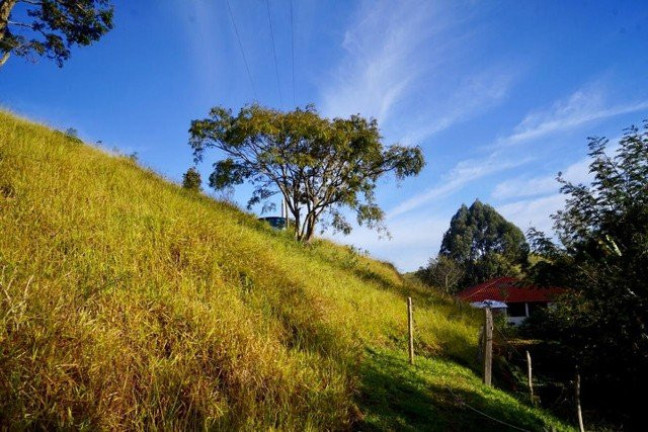 Imagem Fazenda à Venda, 170 m² em Cunha Imagem Fazenda à Venda, 170 m² em Cunha