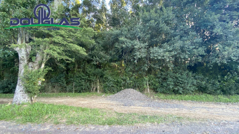 Imagem Terreno à Venda, 1.600 m² em Viamão Imagem Terreno à Venda, 1.600 m² em Viamão
