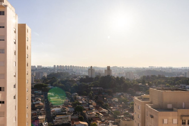 Imagem Imóvel com 4 Quartos à Venda, 250 m² em Vila Suzana - São Paulo