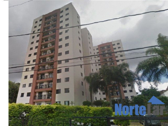 Imagem Apartamento com 3 Quartos à Venda, 66 m² em Vila Carbone - São Paulo