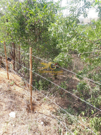 Imagem Terreno à Venda, 1.615 m² em Pitangueiras - Prados Imagem Terreno à Venda, 1.615 m² em Pitangueiras - Prados