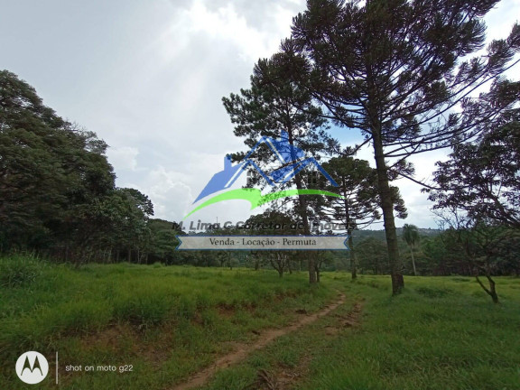Terreno à Venda, 48 m² em Terra Preta - Mairiporã