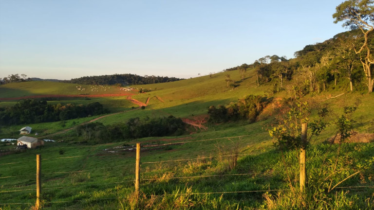 Imóvel à Venda,  em Zona Rural - São Lourenço