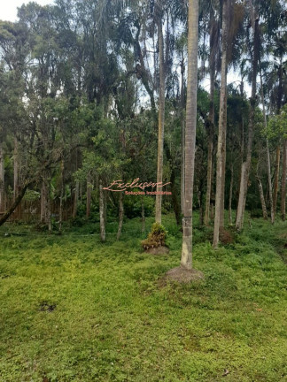 Imagem Chácara com 5 Quartos à Venda, 4.700 m² Imagem Chácara com 5 Quartos à Venda, 4.700 m²