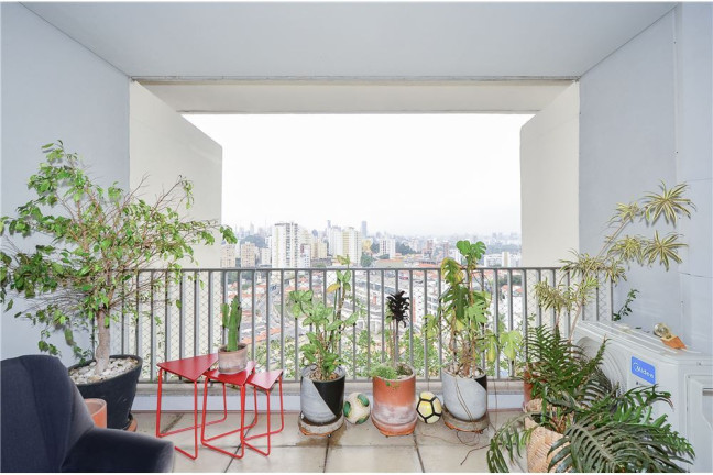 Imagem Imóvel com 2 Quartos à Venda, em Vila Ipojuca - São Paulo Imagem Imóvel com 2 Quartos à Venda, em Vila Ipojuca - São Paulo