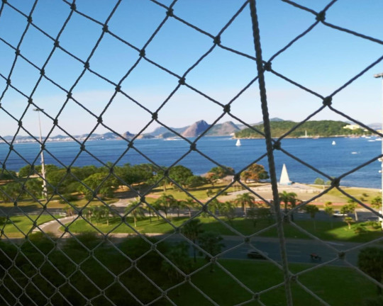 Imagem Imóvel com 4 Quartos à Venda, 290 m² em Flamengo - Rio De Janeiro