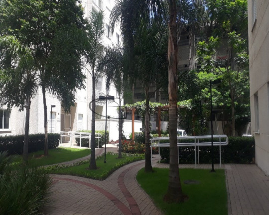 Imagem Imóvel com 2 Quartos à Venda, 53 m² em Vila Guilherme - São Paulo Imagem Imóvel com 2 Quartos à Venda, 53 m² em Vila Guilherme - São Paulo