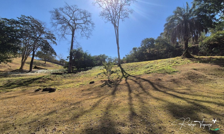 Terreno à Venda, 3.839 m² em Residencial Aldeia Do Vale - Goiânia