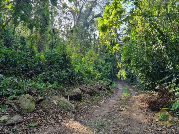 Imagem Terreno à Venda, 1.500 m² em Horto - Ubatuba