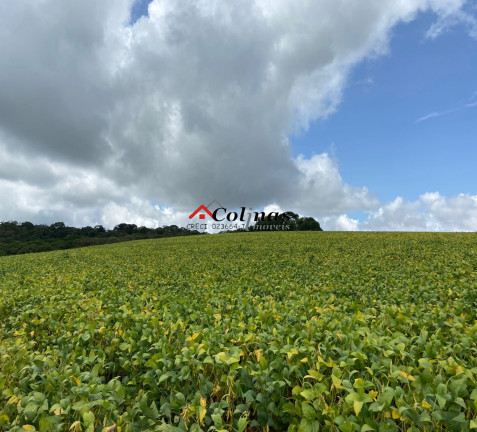 Imagem Terreno à Venda, 276.773 m² em Depois Do Centro - Ibiúna Imagem Terreno à Venda, 276.773 m² em Depois Do Centro - Ibiúna