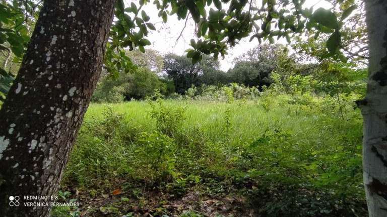Imagem Terreno à Venda, 5.000 m² em Aldeia Dos Camarás - Camaragibe Imagem Terreno à Venda, 5.000 m² em Aldeia Dos Camarás - Camaragibe