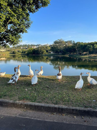 Imagem Terreno à Venda, 780 m² em Világio Paradiso - Louveira Imagem Terreno à Venda, 780 m² em Világio Paradiso - Louveira